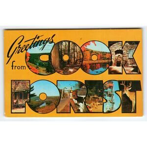 Vintage Greetings from Cook Forest State Park Pennsylvania Chrome Postcard